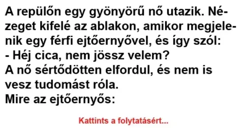 Vicc: A repülőn egy gyönyörű nő utazik