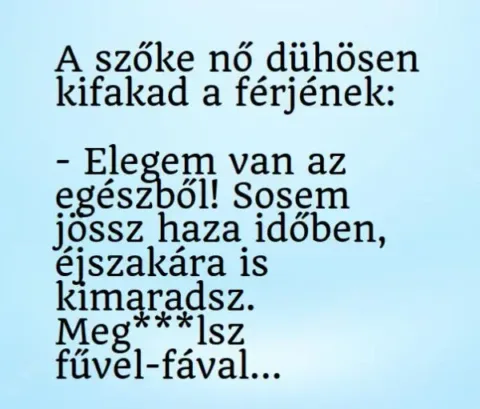 Vicc: A szőke nő villogó szemmel, dühösen kifakad a férjének: Vicc: A szőke nő villogó szemmel, dühösen kifakad a férjének: