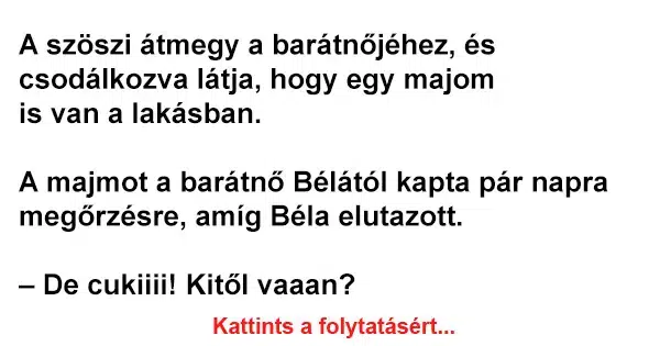 Vicc: A szöszi átmegy a barátnőjéhez Vicc: A szöszi átmegy a barátnőjéhez