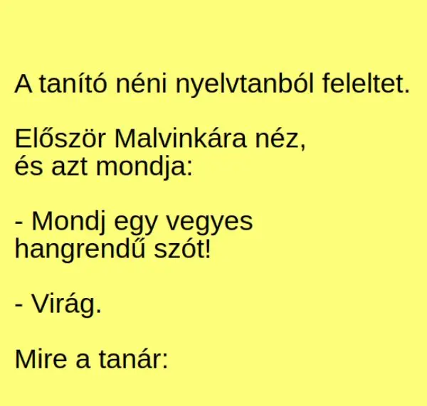 Vicc: A tanító néni nyelvtanból feleltet. Először Malvinkára néz, és... Vicc: A tanító néni nyelvtanból feleltet. Először Malvinkára néz, és…