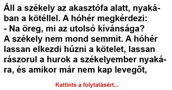 Vicc: Áll a székely az akasztófa alatt