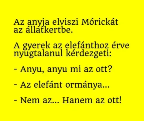 Vicc: Az anyja elviszi Mórickát az állatkertbe. A gyerek az Vicc: Az anyja elviszi Mórickát az állatkertbe. A gyerek az elefánthoz…