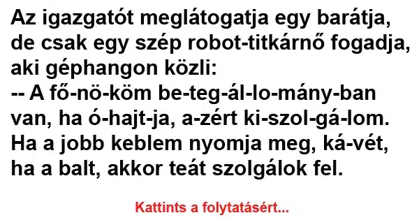 Vicc: Az igazgatót meglátogatja egy barátja, de csak egy szép Vicc: Az igazgatót meglátogatja egy barátja, de csak egy szép robot-titkárnő…