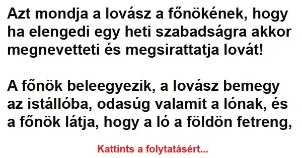 Vicc: Azt mondja a lovász a főnökének Vicc: Azt mondja a lovász a főnökének