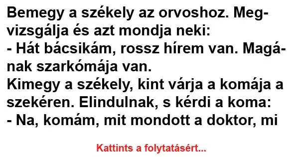 Vicc: Bemegy a székely az orvoshoz Vicc: Bemegy a székely az orvoshoz