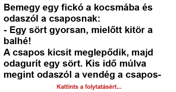 Vicc: Bemegy egy fickó a kocsmába és odaszól a csaposnak Vicc: Bemegy egy fickó a kocsmába és odaszól a csaposnak