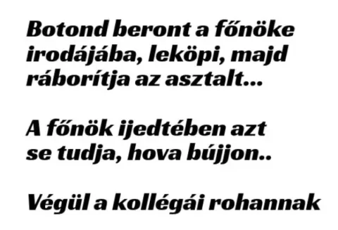 Vicc: Botond beront a főnöke irodájába, leköpi, majd ráborítja az... Vicc: Botond beront a főnöke irodájába, leköpi, majd ráborítja az…