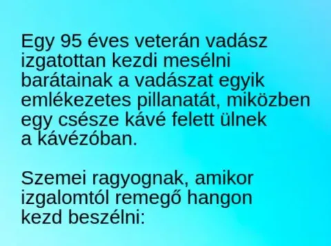 Vicc: Egy 95 éves veterán vadász a vadászkalandjaival henceg a…