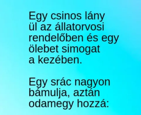 Vicc: Egy csinos lány ül az állatorvosi rendelőben és egy Vicc: Egy csinos lány ül az állatorvosi rendelőben és egy ölebet…