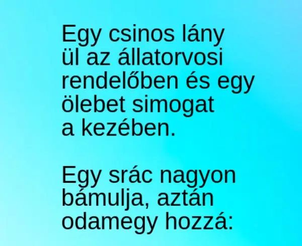 Vicc: Egy csinos lány ül az állatorvosi rendelőben és egy Vicc: Egy csinos lány ül az állatorvosi rendelőben és egy ölebet…