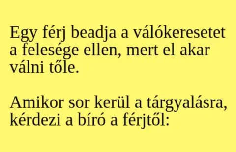 Vicc: Egy férj beadja a válókeresetet a felesége ellen. A