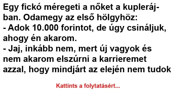 Vicc: Egy fickó méregeti a nőket a kupiban. Odamegy az Vicc: Egy fickó méregeti a nőket a kupiban. Odamegy az első hölgyhöz:…