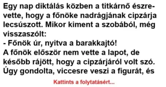 Vicc: Egy nap diktálás közben a titkárnő észrevette, hogy a főnöke…