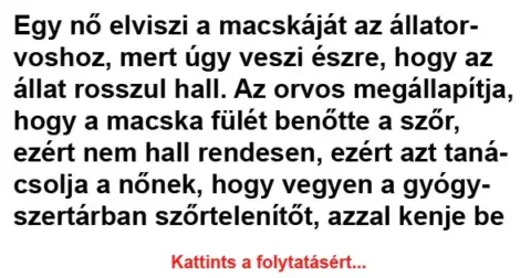 Vicc: Egy nő elviszi a macskáját az állatorvoshoz