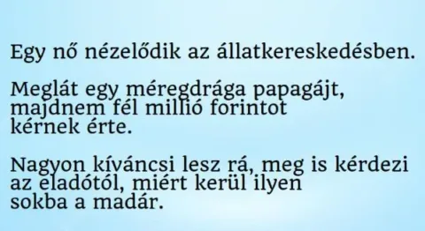Vicc: Egy nő meglát egy méregdrága papagájt az állatkereskedésben,... Vicc: Egy nő meglát egy méregdrága papagájt az állatkereskedésben,…