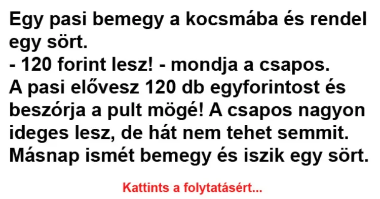 Vicc: Egy pasi bemegy a kocsmába és rendel egy... Vicc: Egy pasi bemegy a kocsmába és rendel egy…