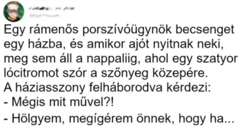 Vicc: Egy rámenős porszívóügynök becsenget egy házba