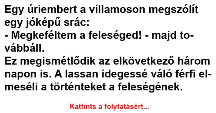 Vicc: Egy úriembert a villamoson megszólít egy jóképű Vicc: Egy úriembert a villamoson megszólít egy jóképű