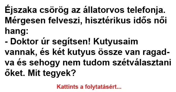 Vicc: Éjszaka csörög az állatorvos telefonja Vicc: Éjszaka csörög az állatorvos telefonja