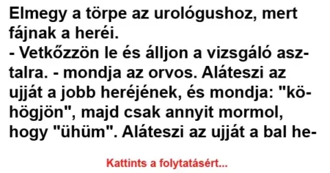 Vicc: Elmegy a törpe az urológushoz
