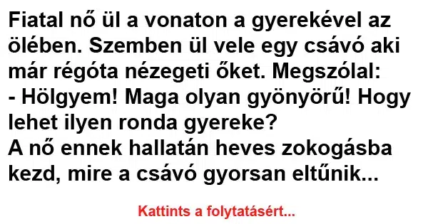 Vicc: Fiatal nő ül a vonaton a gyerekével az ölében Vicc: Fiatal nő ül a vonaton a gyerekével az ölében