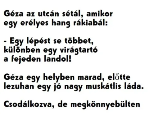 Vicc: Géza az utcán sétál, amikor egy erélyes hang rákiabál: Vicc: Géza az utcán sétál, amikor egy erélyes hang rákiabál: