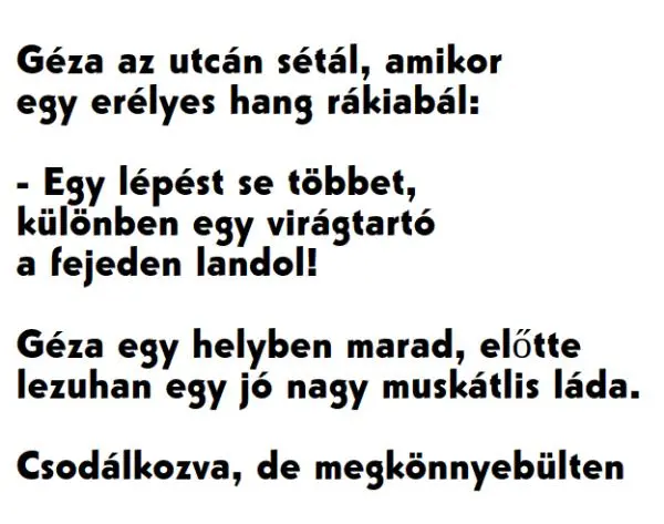 Vicc: Géza az utcán sétál, amikor egy erélyes hang rákiabál: Vicc: Géza az utcán sétál, amikor egy erélyes hang rákiabál: