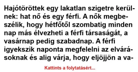 Vicc: Hajótöröttek egy lakatlan szigetre kerülnek