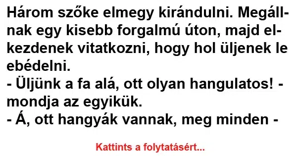 Vicc: Három szőke elmegy kirándulni Vicc: Három szőke elmegy kirándulni