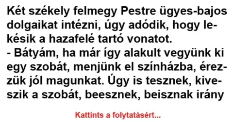 Vicc: Két székely felmegy Pestre