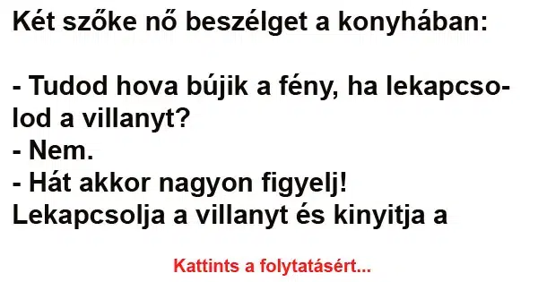 Vicc: Két szőke nő beszélget a konyhában Vicc: Két szőke nő beszélget a konyhában