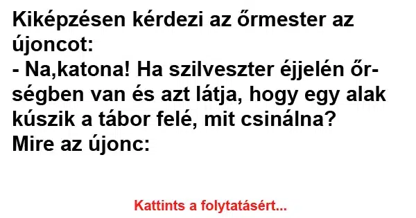 Vicc: Kiképzésen kérdezi az őrmester az újoncot Vicc: Kiképzésen kérdezi az őrmester az újoncot