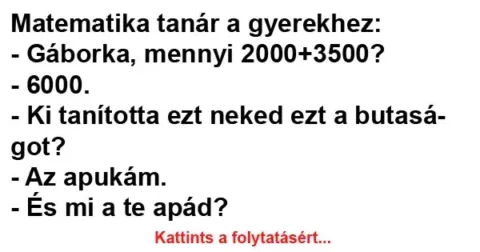 Vicc: Matematika tanár a gyerekhez
