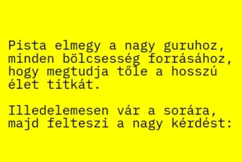 Vicc: Pista elmegy a nagy guruhoz, minden bölcsesség forrásához, hogy... Vicc: Pista elmegy a nagy guruhoz, minden bölcsesség forrásához, hogy…