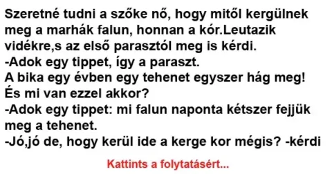 Vicc: Szeretné tudni a szőke nő, hogy mitől kergülnek meg a marhák…