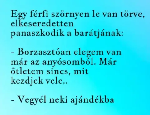 Vicc: Szörnyen elegem van már az anyósomból Vicc: Szörnyen elegem van már az anyósomból