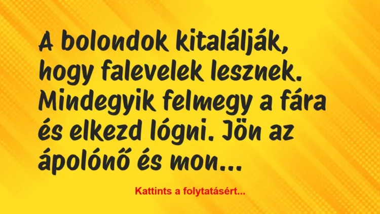 Vicc: A bolondok kitalálják, hogy falevelek lesznek. Mindegyik felmegy a… Vicc: A bolondok kitalálják, hogy falevelek lesznek. Mindegyik felmegy a…