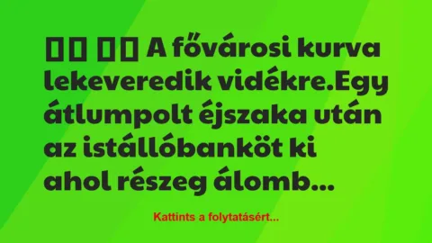 Vicc: 
		  
		  A fővárosi kurva lekeveredik vidékre.Egy…