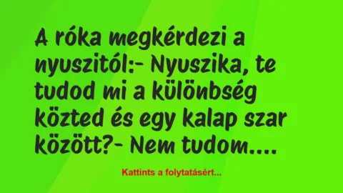 Vicc: A róka megkérdezi a nyuszitól:

– Nyuszika, te tudod mi a…