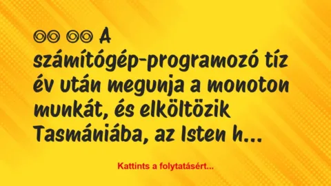 Vicc: 
		  
		  A számítógép-programozó tíz év után megunja a…