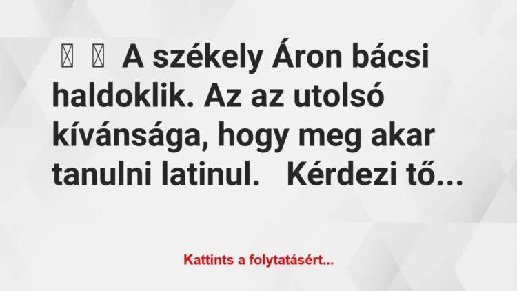 Vicc:
A székely Áron bácsi haldoklik. Az az utolsó kívánsága,… Vicc:
A székely Áron bácsi haldoklik. Az az utolsó kívánsága,…