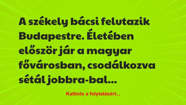 Vicc: A székely bácsi felutazik Budapestre. Életében először jár a magyar… Vicc: A székely bácsi felutazik Budapestre. Életében először jár a magyar…