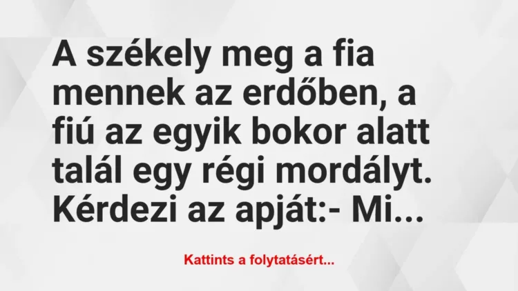 Vicc: A székely meg a fia mennek az erdőben, a fiú az egyik bokor alatt… Vicc: A székely meg a fia mennek az erdőben, a fiú az egyik bokor alatt…