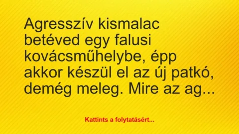 Vicc: Agresszív kismalac betéved egy falusi kovácsműhelybe, épp akkor…