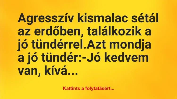 Vicc: Agresszív kismalac sétál az erdőben, találkozik a jó… Vicc: Agresszív kismalac sétál az erdőben, találkozik a jó…