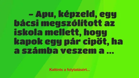 Vicc: 
		  
		  – Apu, képzeld, egy bácsi megszólított az iskola …