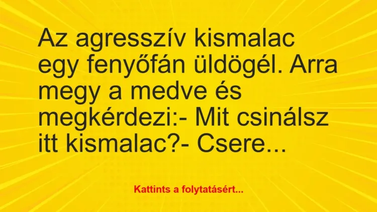 Vicc: Az agresszív kismalac egy fenyőfán üldögél. Arra megy a medve és… Vicc: Az agresszív kismalac egy fenyőfán üldögél. Arra megy a medve és…