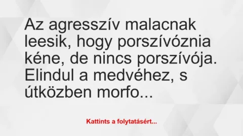 Vicc: Az agresszív malacnak leesik, hogy porszívóznia kéne, de nincs…