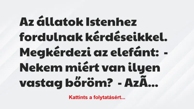Vicc: Az állatok Istenhez fordulnak kérdéseikkel. Megkérdezi az… Vicc: Az állatok Istenhez fordulnak kérdéseikkel. Megkérdezi az…