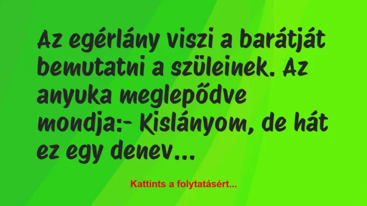 Vicc: Az egérlány viszi a barátját bemutatni a szüleinek. Az anyuka… Vicc: Az egérlány viszi a barátját bemutatni a szüleinek. Az anyuka…